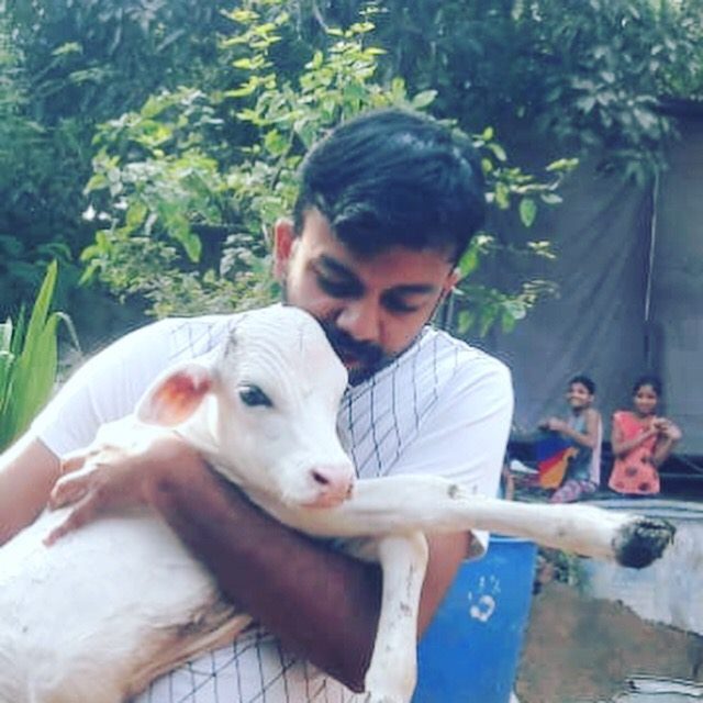 A rescued dog receiving love and care