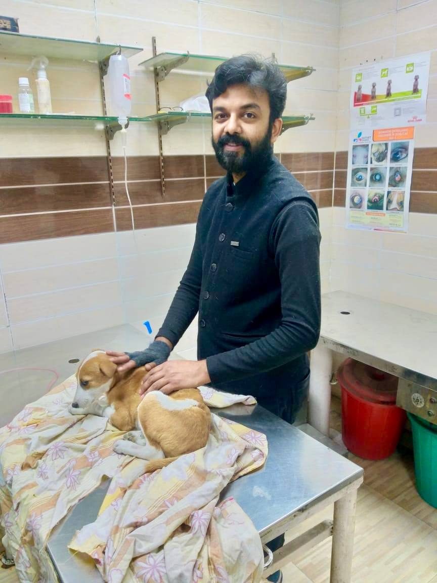 बचाया गया कुत्ता आँखों में उम्मीद के साथ