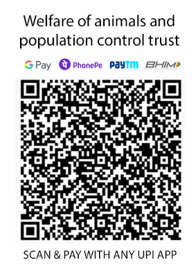 WAPCT UPI payment QR code